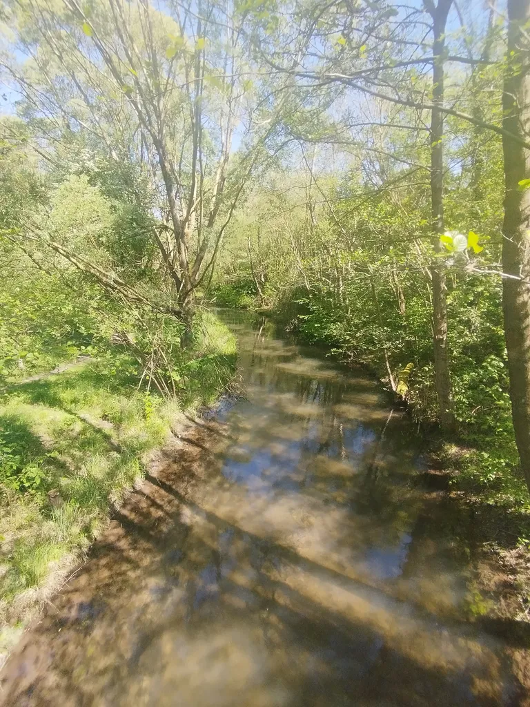 Arboretum de Blangy-sur-Bresle