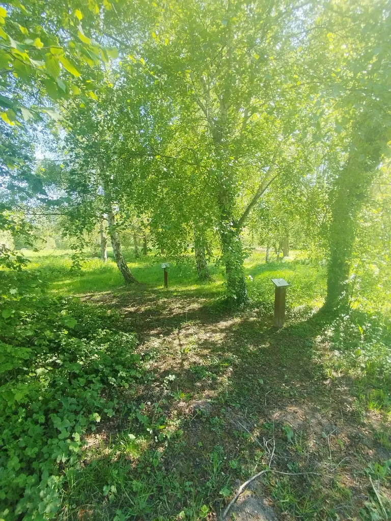 Arboretum de Blangy-sur-Bresle