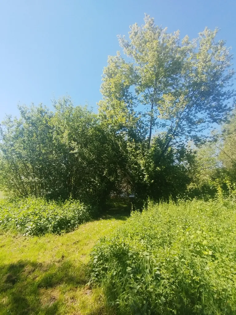 Arboretum de Blangy-sur-Bresle