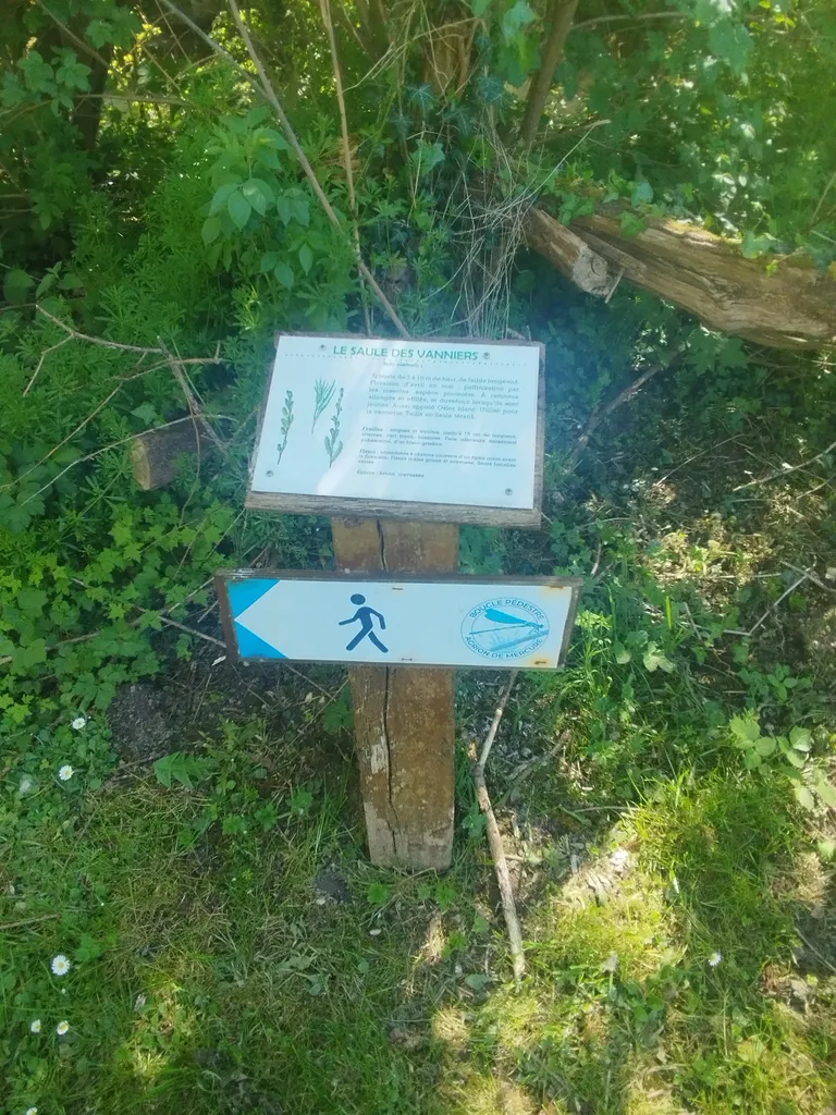 Arboretum de Blangy-sur-Bresle