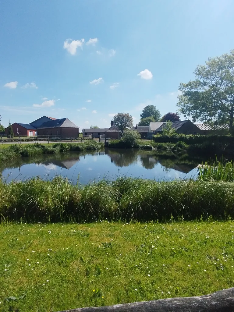 Mare de Saint-Léger-aux-Bois