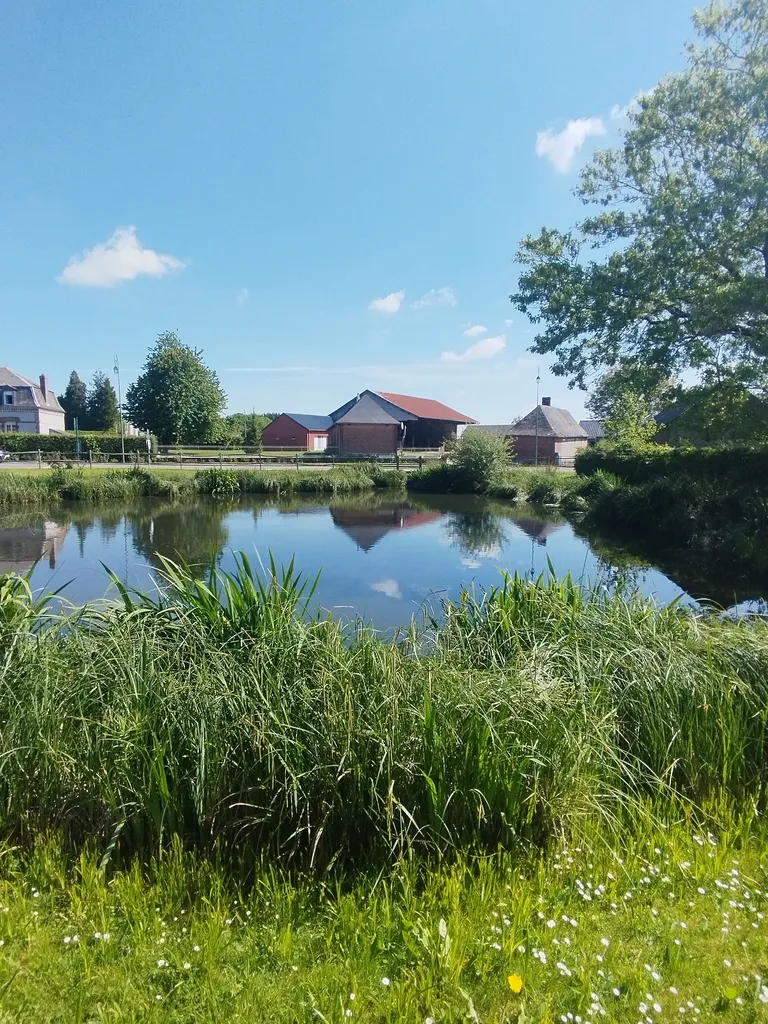 Mare de Saint-Léger-aux-Bois