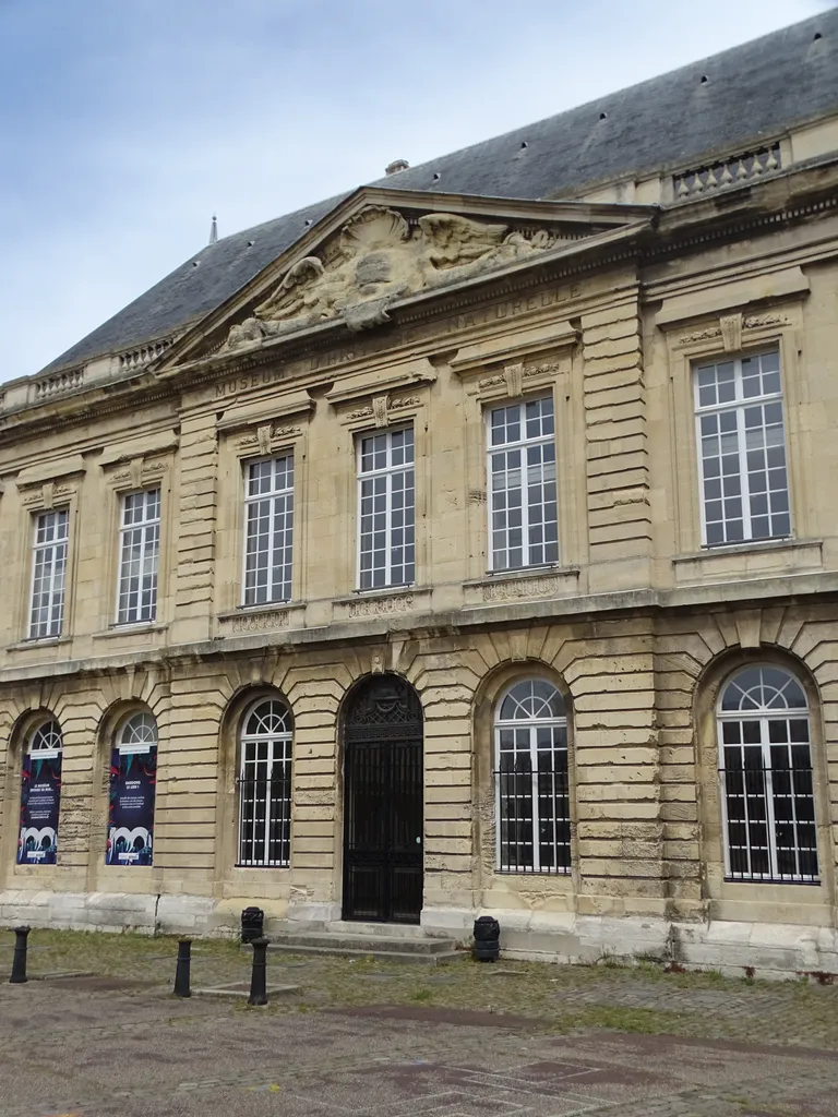 Muséum d'Histoire Naturelle du Havre