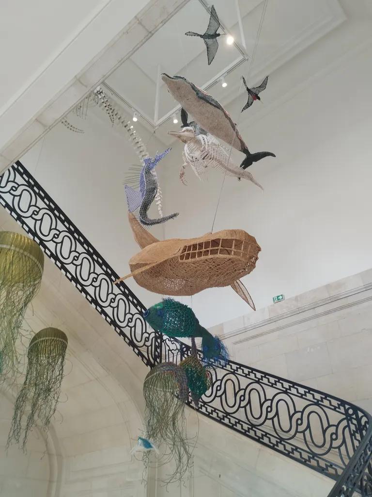 Muséum d'Histoire Naturelle du Havre