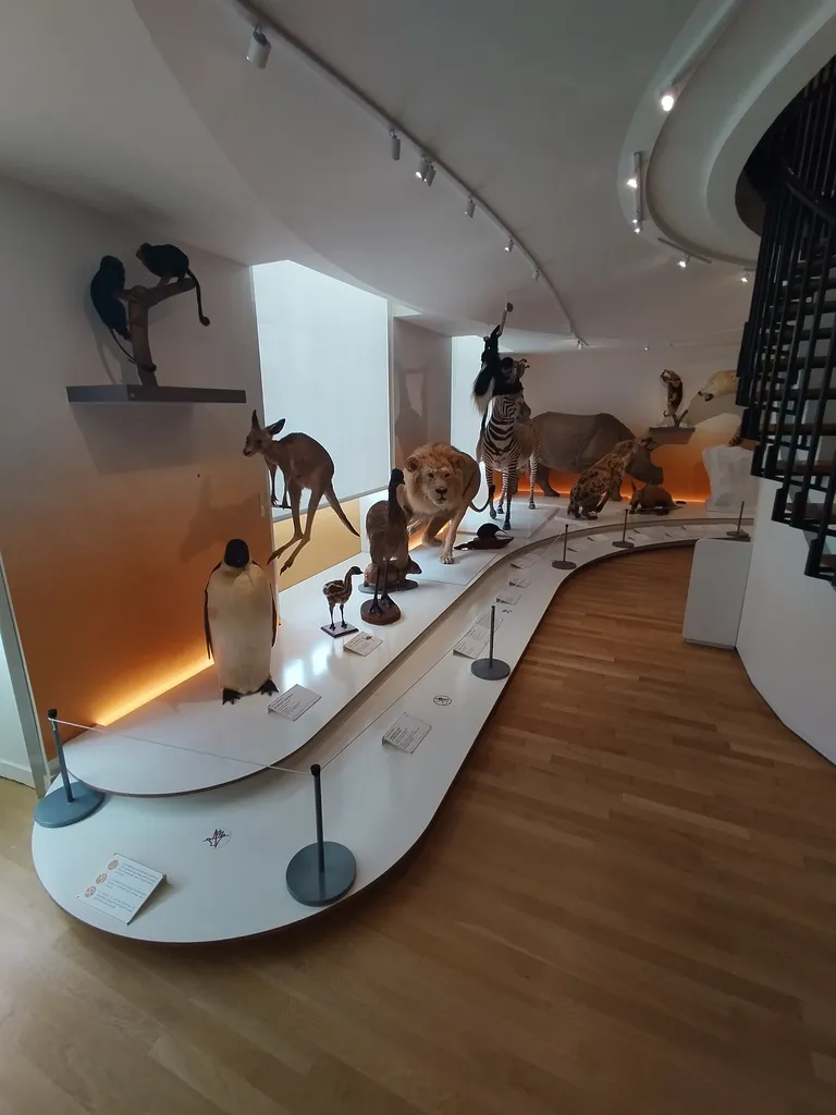 Muséum d'Histoire Naturelle du Havre