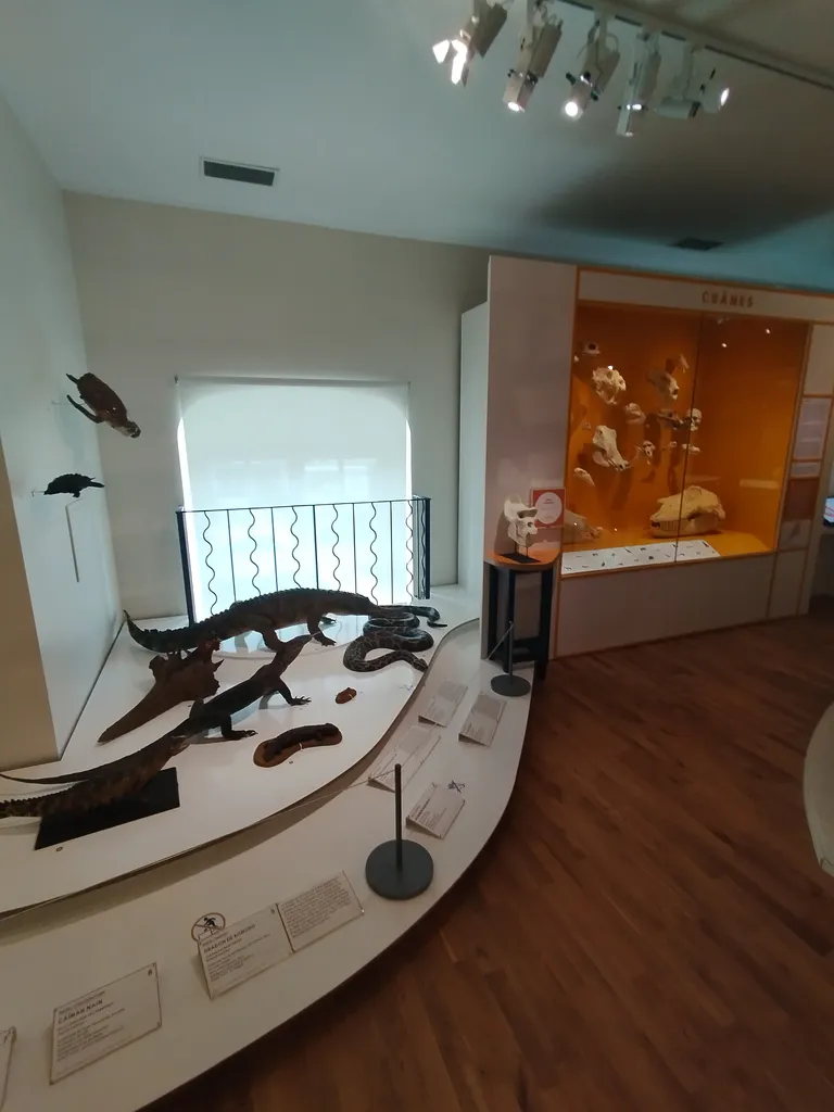 Muséum d'Histoire Naturelle du Havre