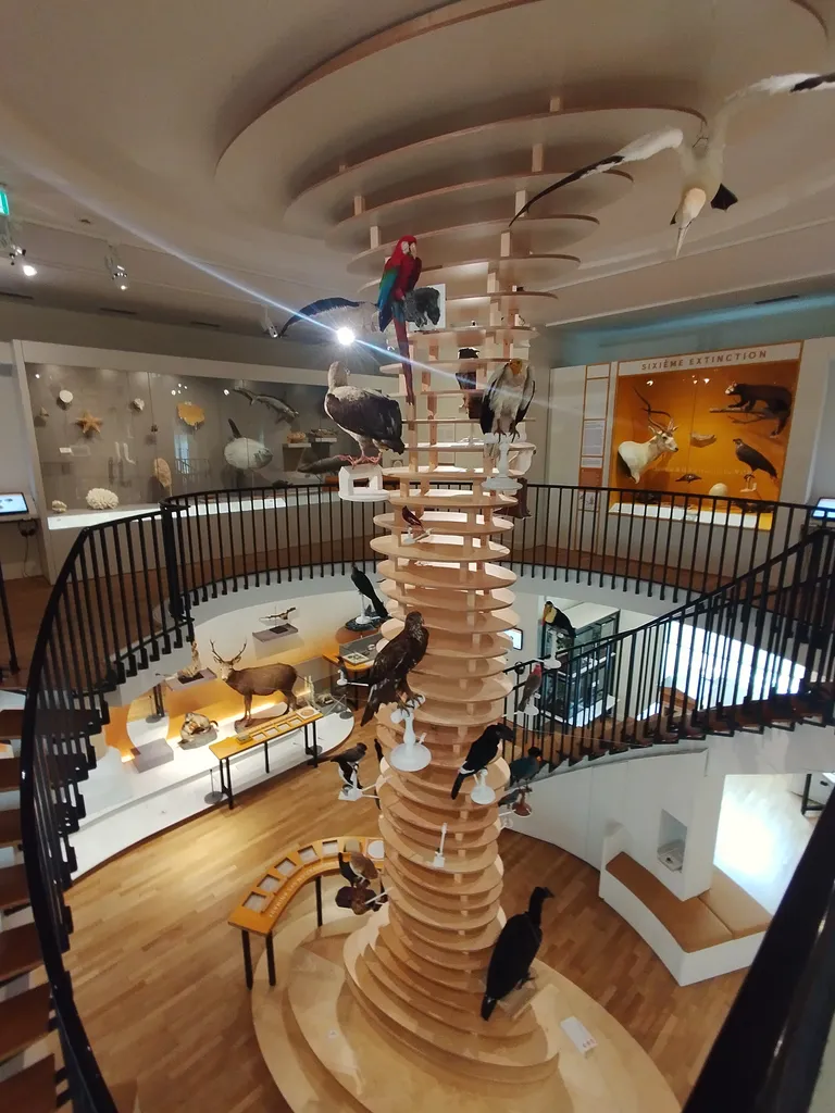 Muséum d'Histoire Naturelle du Havre