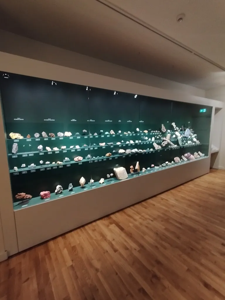 Muséum d'Histoire Naturelle du Havre