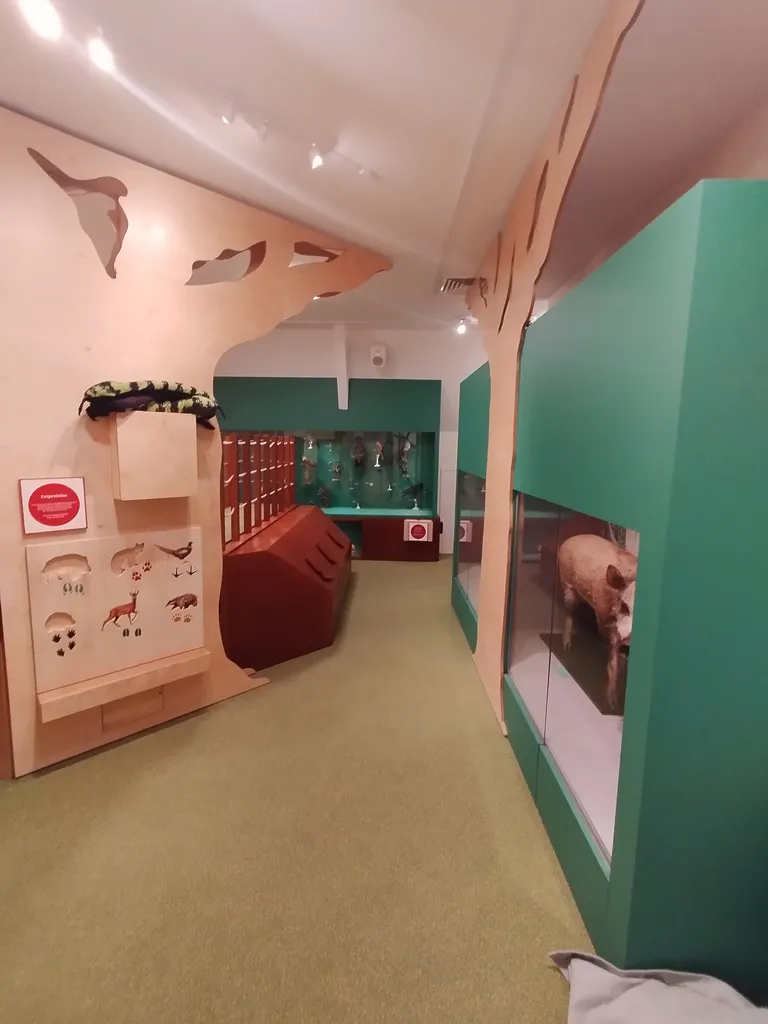 Muséum d'Histoire Naturelle du Havre