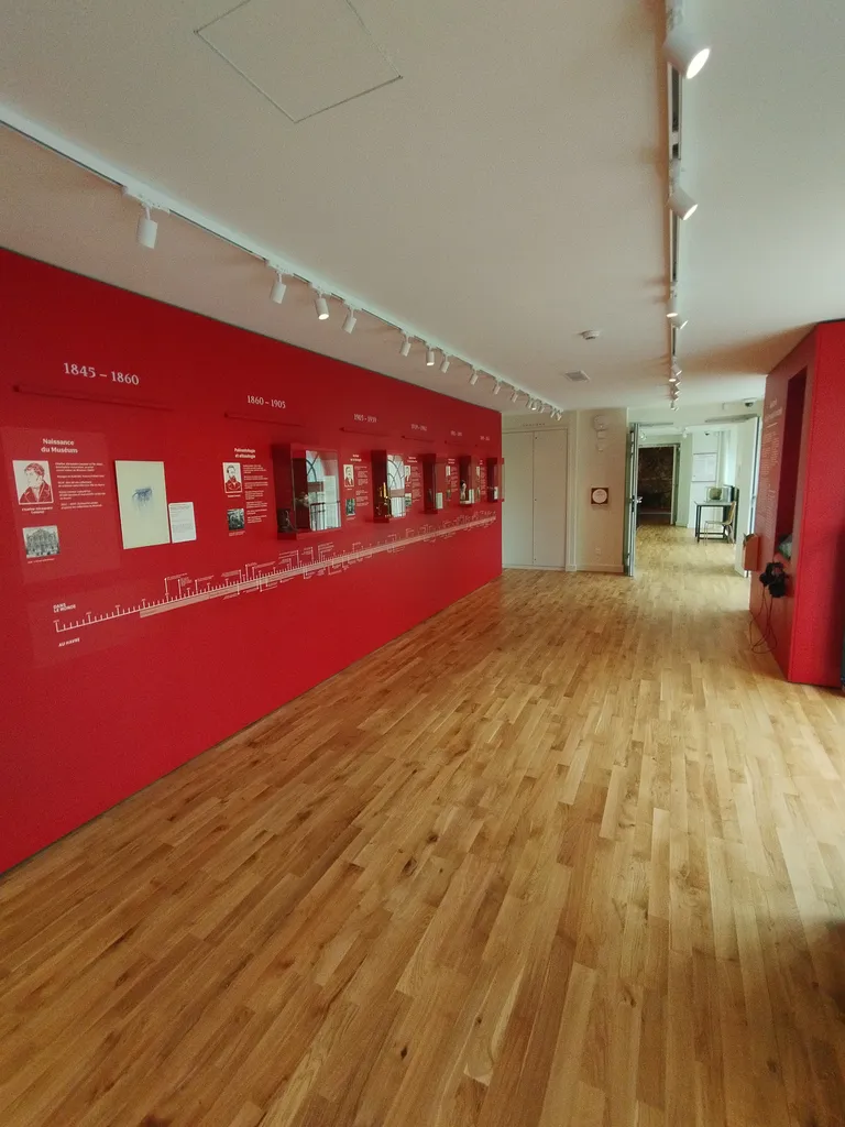 Muséum d'Histoire Naturelle du Havre