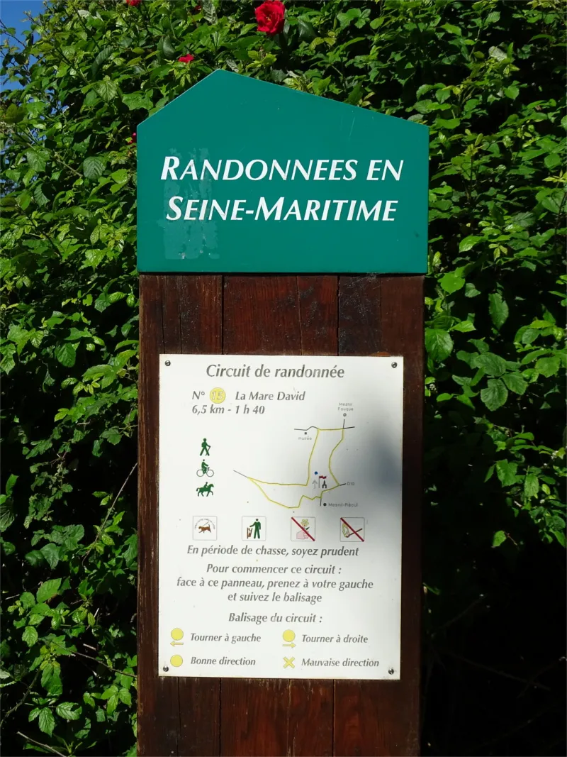 Randonnées en Seine-Maritime : N°15 La Mare David de Mesnil-Raoul