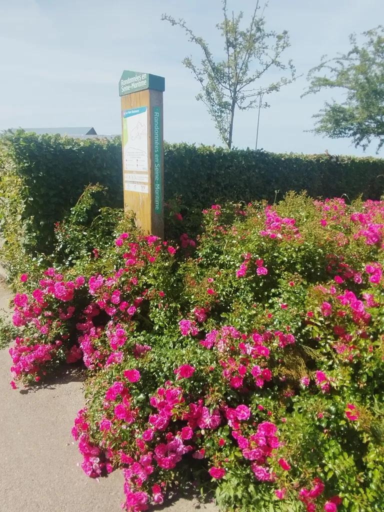 Randonnées en Seine-Maritime : N°11 Le Vert Buisson à Rocquefort