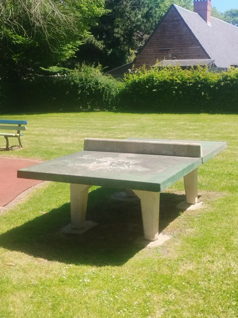 Table de Ping-Pong extérieure de Routes